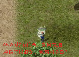 65535�ⶥ���棬��ο��ٳ��Ƶȼ�ƿ�����ưԷ�������