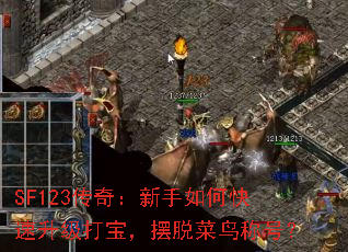 SF123传奇:新手如何快速升级打宝,摆脱菜鸟称号? SF123传奇:新手如何快速升级打宝,摆脱菜鸟称号?