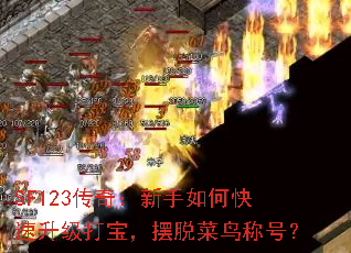 SF123���棺������ο��������򱦣����Ѳ���ƺţ�