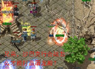 �ֵܣ�ɳ�Ϳ��л�ս��ô���ܴ�Ӯ�����