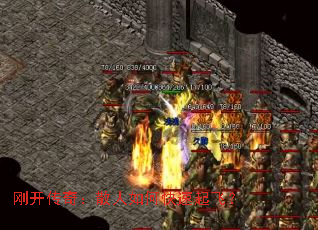 �տ����棺ɢ����ο�����ɣ�