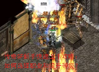 传奇SF新手快速上手攻略:如何选择职业和提升等级? 传奇SF新手快速上手攻略:如何选择职业和提升等级?