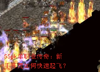 55pk��ְҵ���棺���ֿ�����ο�����ɣ�