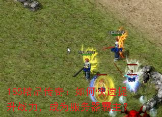 185��Ʒ���棺��ο�������ս������Ϊ������������