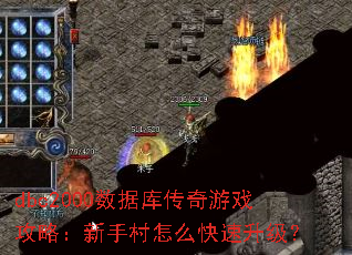 dbc2000���ݿ⴫����Ϸ���ԣ����ִ���ô����������