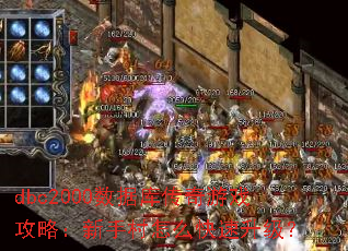 dbc2000���ݿ⴫����Ϸ���ԣ����ִ���ô����������