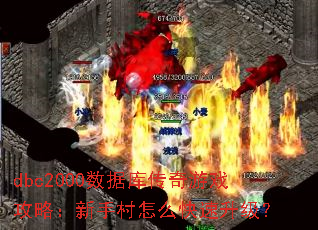 dbc2000���ݿ⴫����Ϸ���ԣ����ִ���ô����������