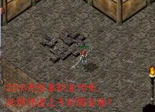 2018���ⵥְҵ���棬��ο������ֳư�ȫ����