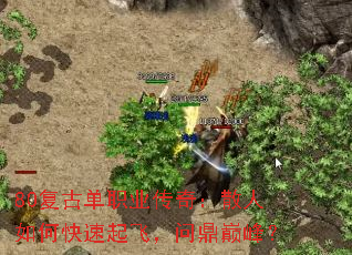 80���ŵ�ְҵ���棺ɢ����ο�����ɣ��ʶ��۷壿