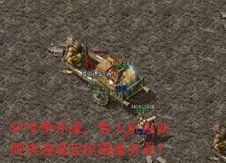 SF���濪����ɢ�������ο�������ưԷ�������