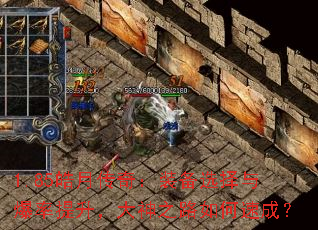 1.85皓月传奇:装备选择与爆率提升,大神之路如何速成? 1.85皓月传奇:装备选择与爆率提升,大神之路如何速成?