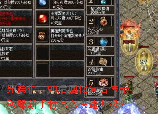 兄弟们,90后回忆复古传奇私服新手村怎么快速升级? 兄弟们,90后回忆复古传奇私服新手村怎么快速升级?