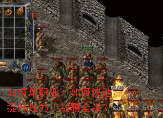 ���鵥ְҵ����ο�������ս�����ư�ȫ����