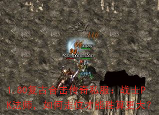 1.80���źϻ�����˽����սʿPK��ʦ�������λ����ʤ�����