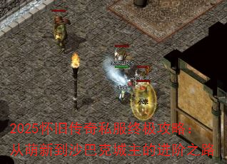 2025���ɴ���˽���ռ����ԣ������µ�ɳ�Ϳ˳����Ľ���֮·