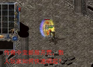 �����б��·����ģ�ɢ�������ο�������