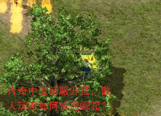 �����б��·����ģ�ɢ�������ο�������