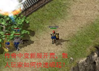 �����б��·����ģ�ɢ�������ο�������