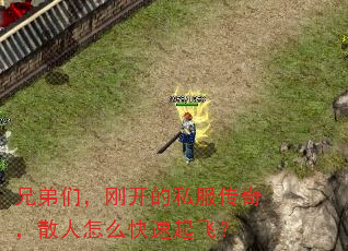 兄弟们,刚开的私服传奇,散人怎么快速起飞? 兄弟们,刚开的私服传奇,散人怎么快速起飞?