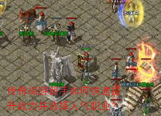 �������������ο�������ս����ѡ������ְҵ��