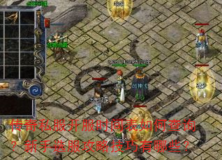 传奇私服开服时间表如何查询?新手选服攻略技巧有哪些? 传奇私服开服时间表如何查询?新手选服攻略技巧有哪些?