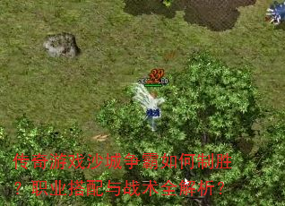 ������Ϸɳ�����������ʤ��ְҵ������ս��ȫ������