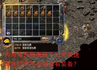 �������ƴ���������ο�������ս�����ȡϡ��װ����