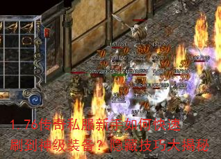 1.76����˽��������ο���ˢ����װ�������ؼ��ɴ����