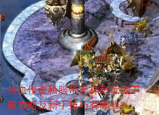 ��Ѫ����˽����Ԫ����������ع��Լ����ּ�������Щ��