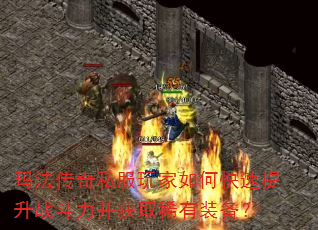 �귨����˽�������ο�������ս��������ȡϡ��װ����