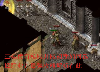 三端传奇私服开服初期如何选择职业?最强攻略解析在此 三端传奇私服开服初期如何选择职业?最强攻略解析在此