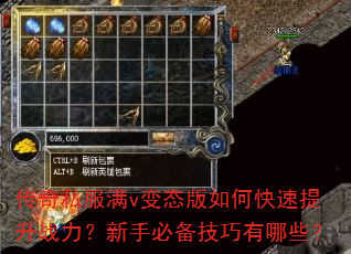 ����˽����v��̬����ο�������ս�������ֱر���������Щ��