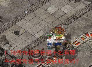 1.76�������а�ǰʮ������Щ��Ч������װ����ȡ���ɣ�