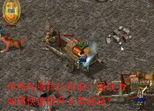 ����˽�����а�ǰʮǿս����ο��������ؿ��ؼ���