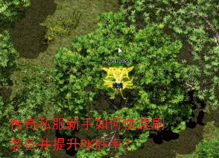 传奇私服新手如何快速刷装备并提升PK胜率? 传奇私服新手如何快速刷装备并提升PK胜率?