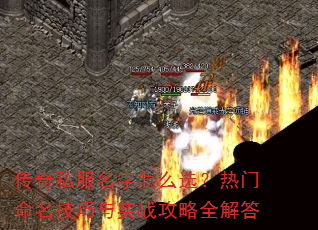 ����˽��������ôѡ����������������ʵս����ȫ���