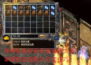 传奇私服SF新开服如何快速掌握职业搭配与打宝技巧? 传奇私服SF新开服如何快速掌握职业搭配与打宝技巧?