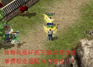 传奇私服SF新开服如何快速掌握职业搭配与打宝技巧? 传奇私服SF新开服如何快速掌握职业搭配与打宝技巧?