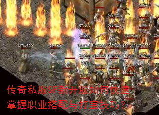 ����˽��SF�¿�����ο�������ְҵ������򱦼��ɣ�