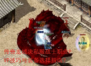 �������Ǿ�˽��սʿְҵPVP������װ��ѡ��ָ�ϣ�