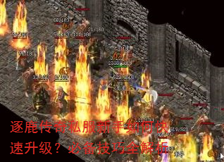 ��¹����˽��������ο����������ر�����ȫ����