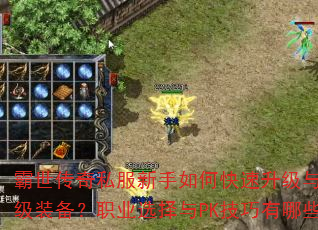 ��������˽��������ο����������ȡ����װ����ְҵѡ����PK��������Щ��