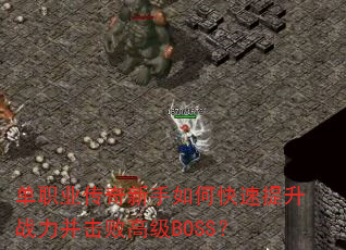 ��ְҵ����������ο�������ս�������ܸ߼�BOSS��