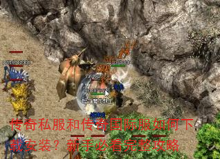 ����˽���ʹ�����ʷ�������ذ�װ�����ֱؿ���������