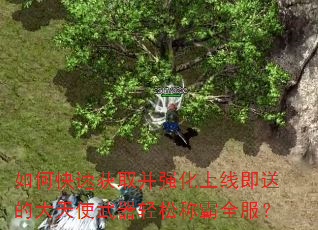 ��ο��ٻ�ȡ��ǿ�����߼��͵Ĵ���ʹ�������ɳư�ȫ����