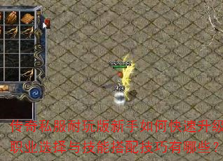 传奇私服耐玩版新手如何快速升级?职业选择与技能搭配技巧有哪些? 传奇私服耐玩版新手如何快速升级?职业选择与技能搭配技巧有哪些?