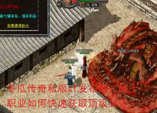 ���ϴ���˽��sf��������սʿְҵ��ο��ٻ�ȡ����װ����