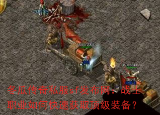 ���ϴ���˽��sf��������սʿְҵ��ο��ٻ�ȡ����װ����