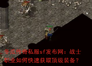 ���ϴ���˽��sf��������սʿְҵ��ο��ٻ�ȡ����װ����