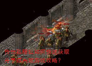 ����˽��ַ��ο��ٻ�ȡ�����ո�Ч��Ϸ���ԣ�